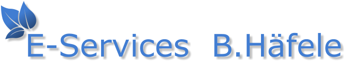 E-Services  B.H�fele